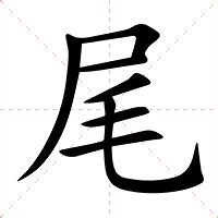 尾一意思|尾的意思